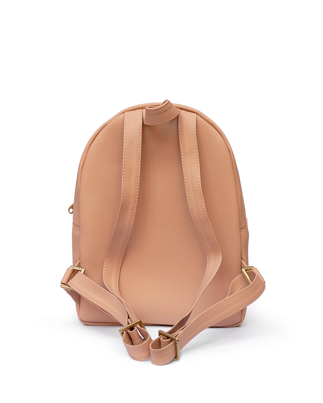 Morral Bruno en parchita.com.co